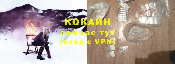 дживик Новодвинск