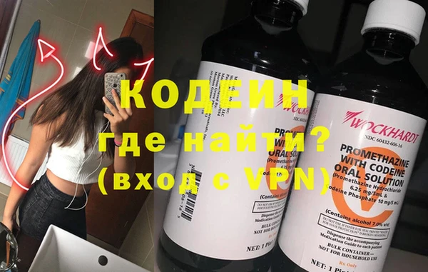 гидра Няндома