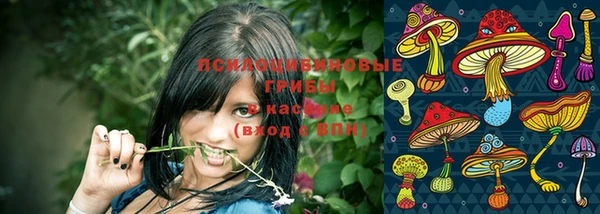 герыч Новокубанск